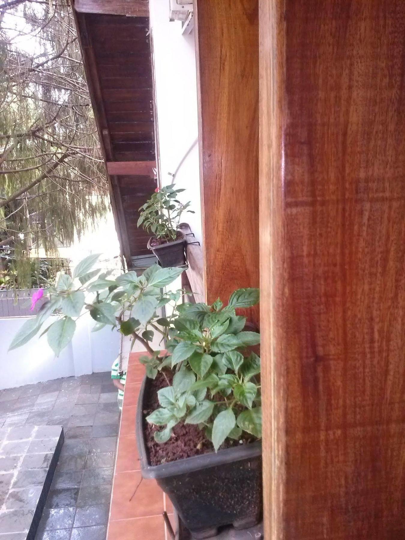 Petit Hotel Caraguata Puerto Iguazu Bagian luar foto